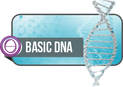 Basic DNA 